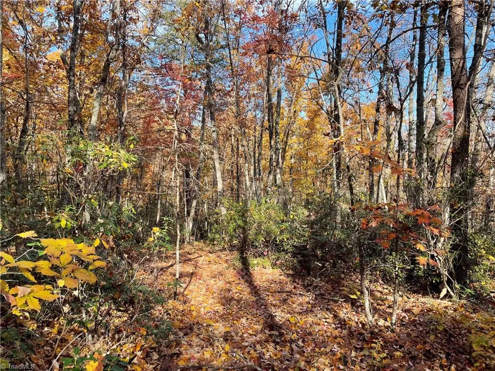 1928 Frye Road Westfield, NC 27053