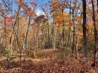 1928 Frye Road Westfield, NC 27053