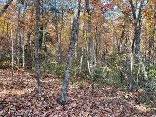 1928 Frye Road Westfield, NC 27053