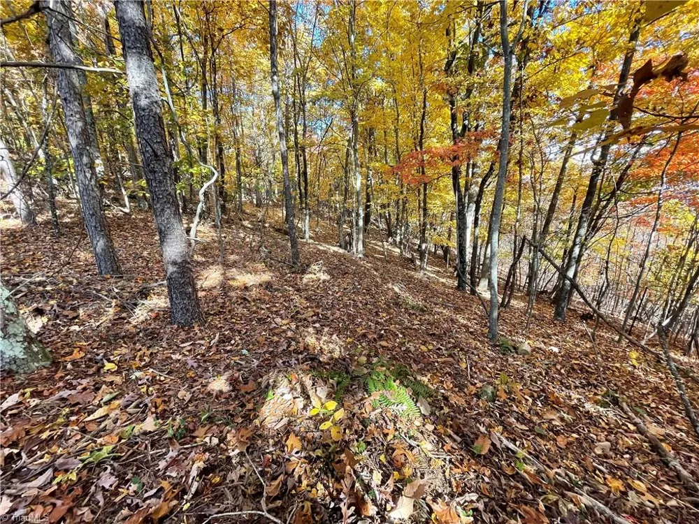 1928 Frye Road Westfield, NC 27053