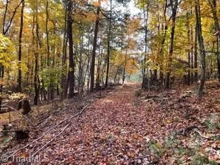 1928 Frye Road Westfield, NC 27053