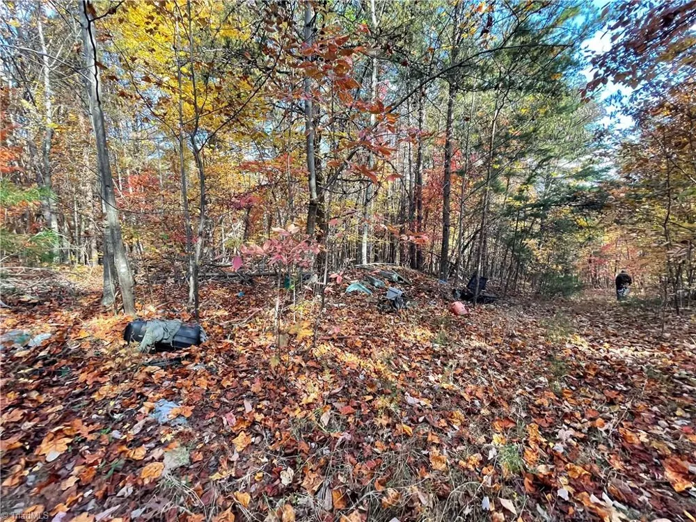 1928 Frye Road Westfield, NC 27053