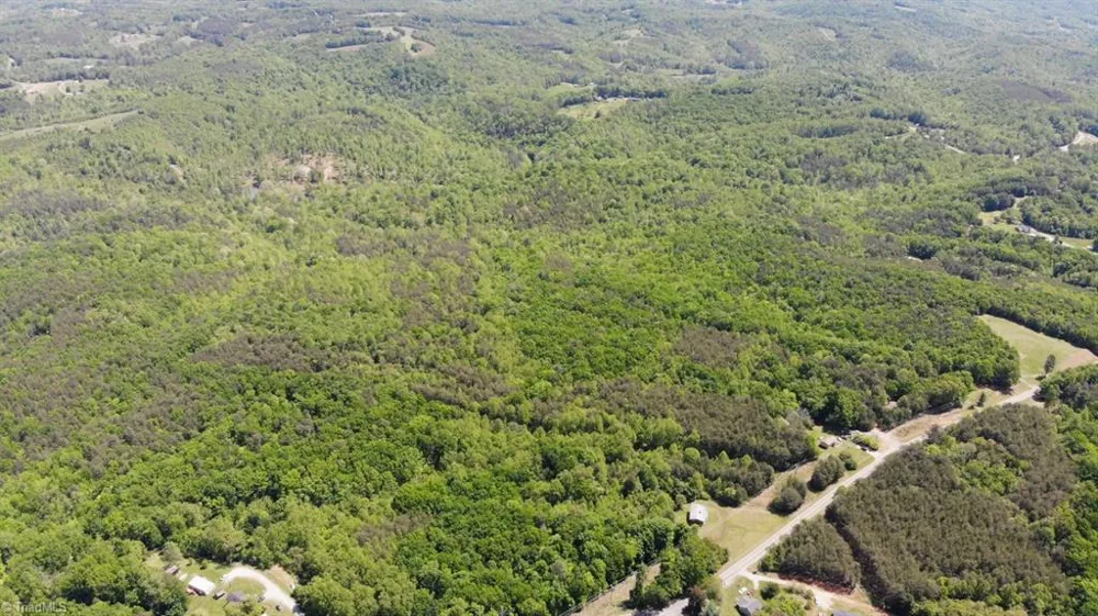 1928 Frye Road Westfield, NC 27053