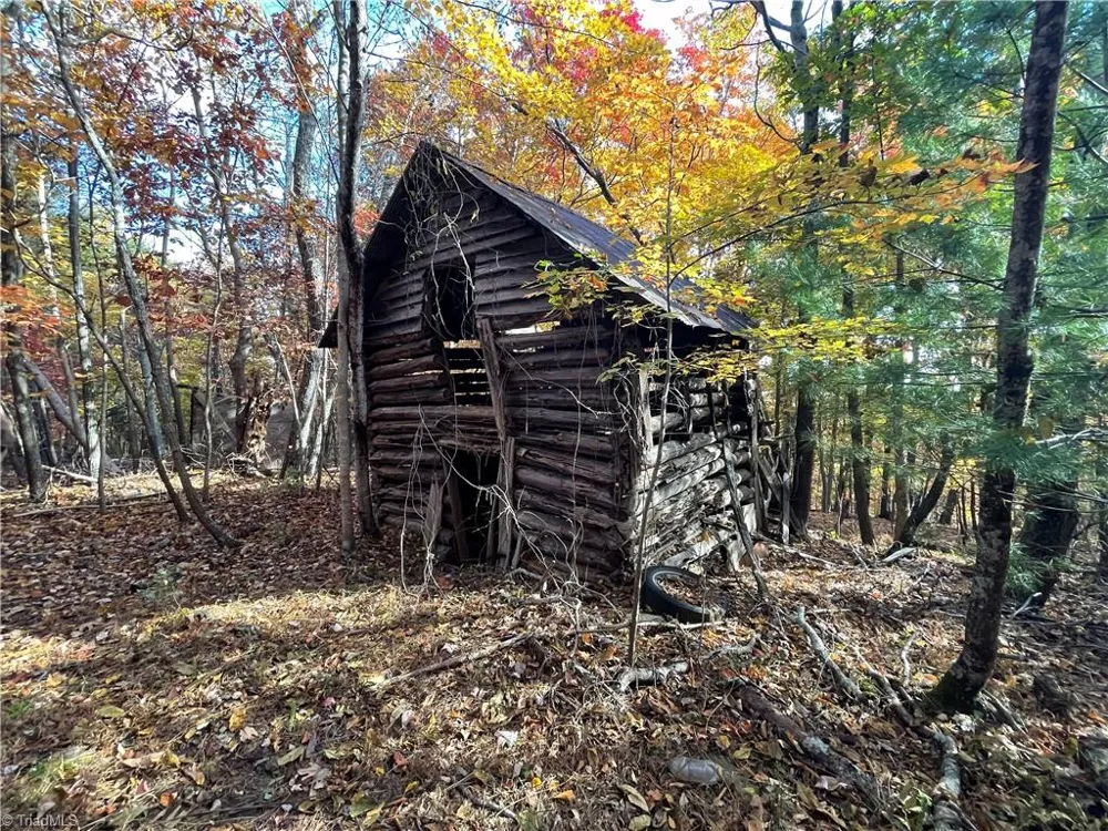 1928 Frye Road Westfield, NC 27053