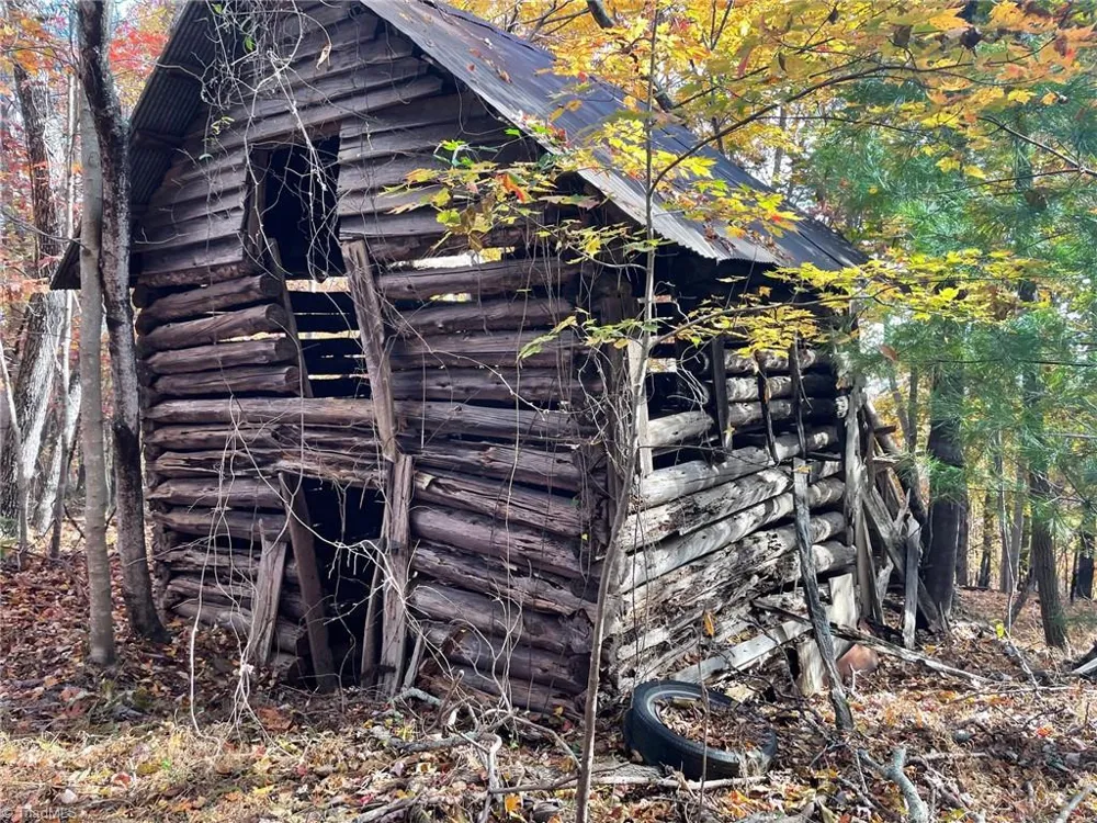 1928 Frye Road Westfield, NC 27053