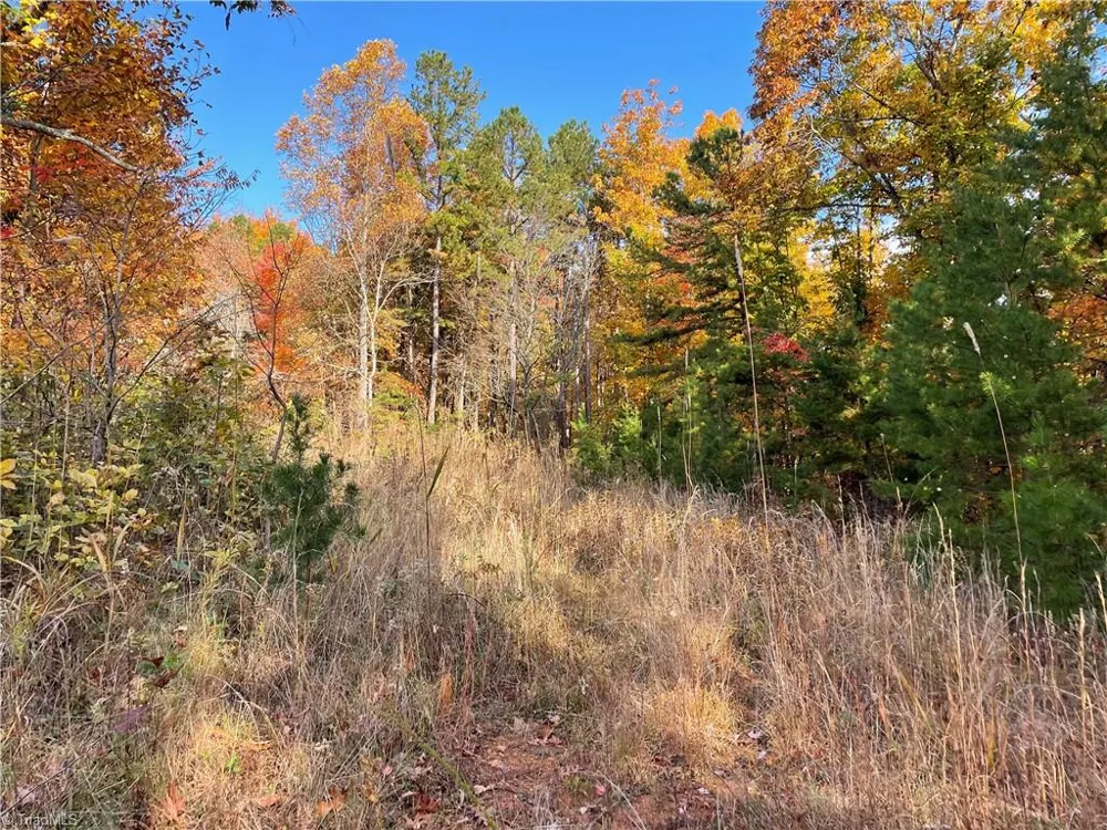 1928 Frye Road Westfield, NC 27053