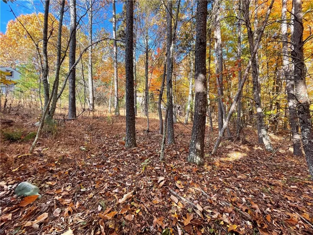 1928 Frye Road Westfield, NC 27053