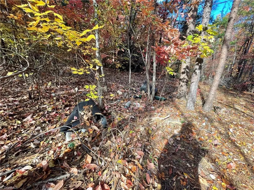 1928 Frye Road Westfield, NC 27053