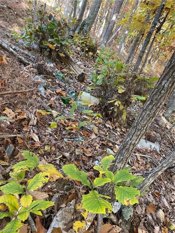 1928 Frye Road Westfield, NC 27053