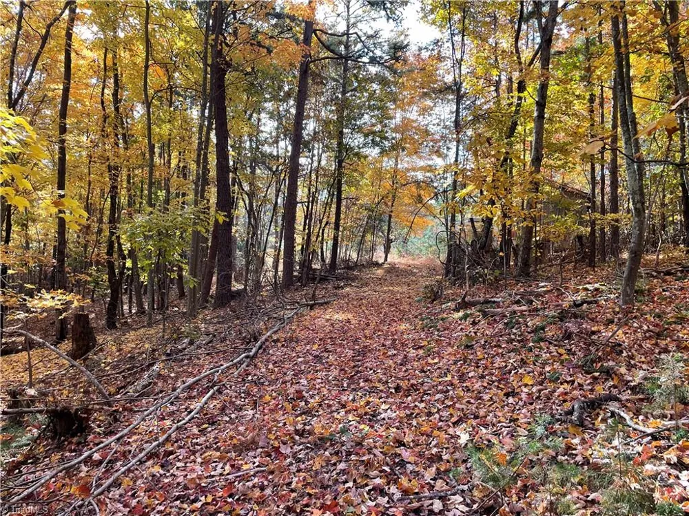 1928 Frye Road Westfield, NC 27053