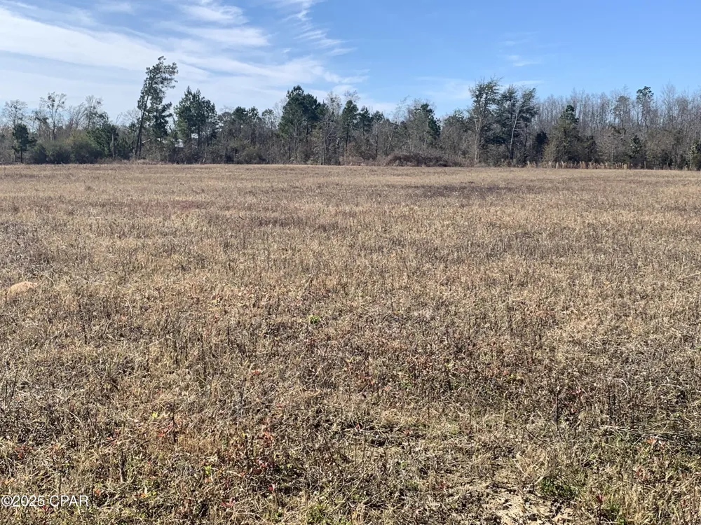 Sr 73 Highway Clarksville, FL 32430