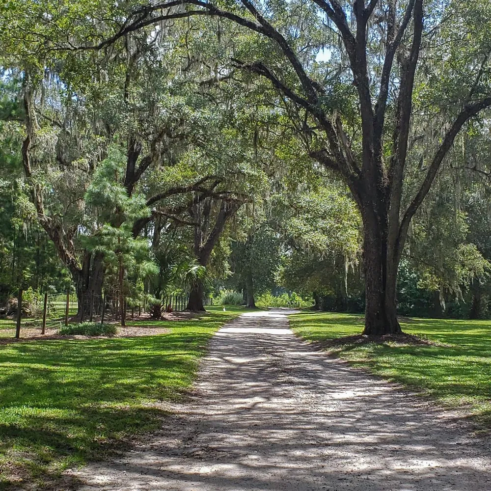 NW 115TH AVENUE Reddick, FL 32686