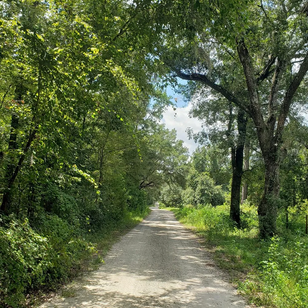 NW 115TH AVENUE Reddick, FL 32686