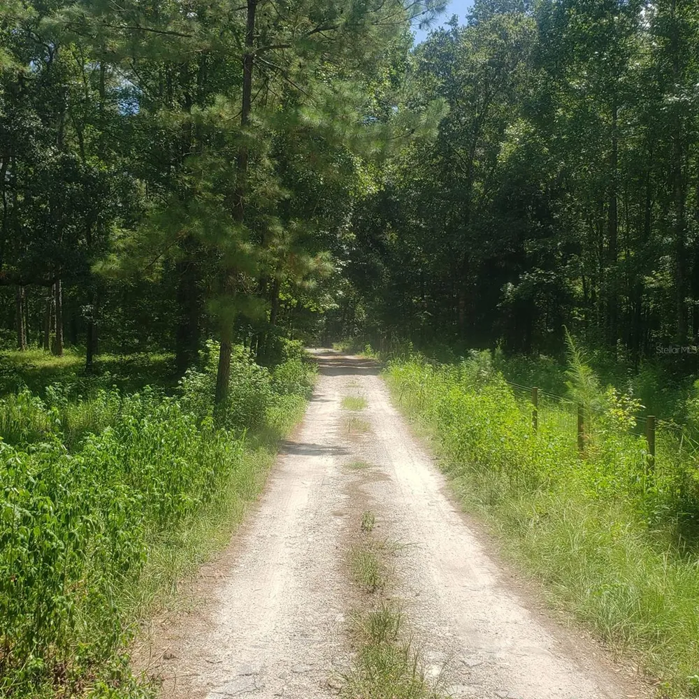 NW 115TH AVENUE Reddick, FL 32686