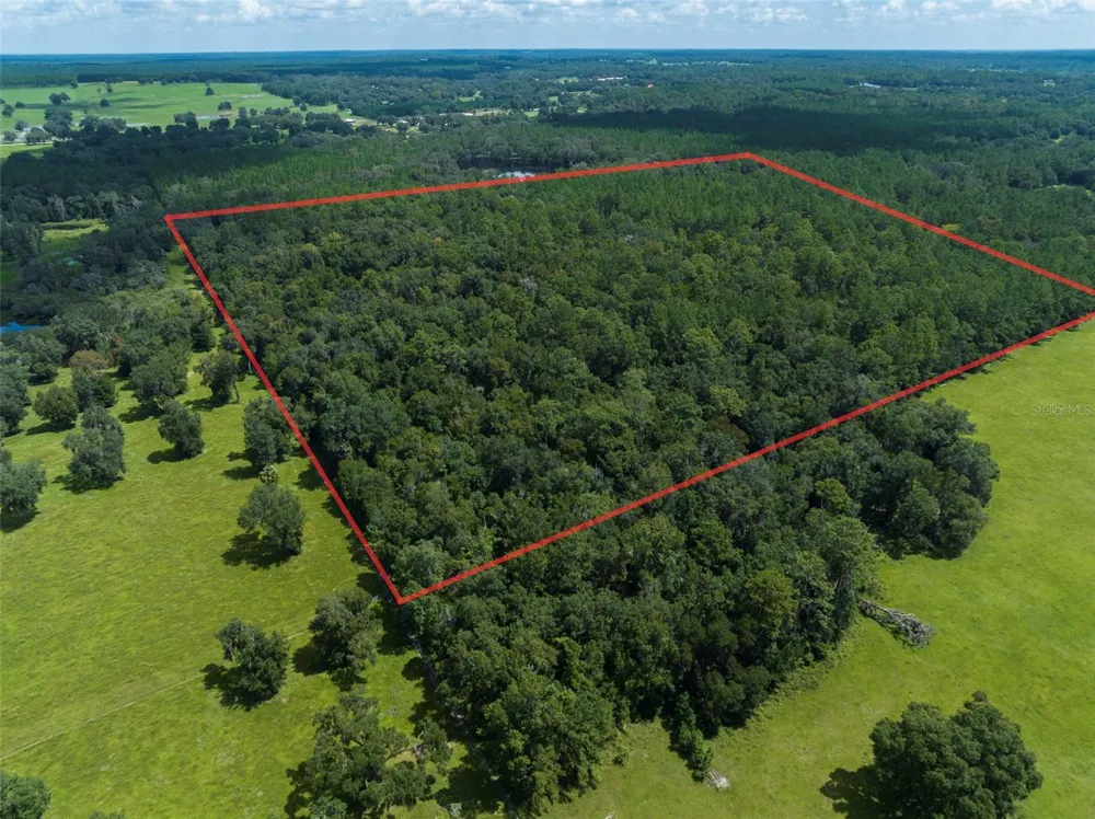 NW 115TH AVENUE Reddick, FL 32686