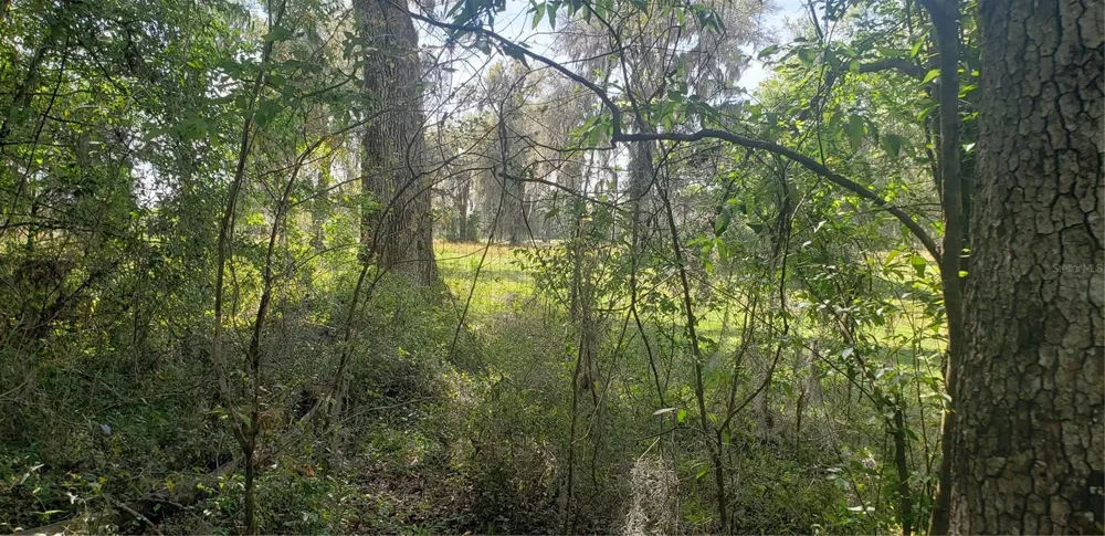 NW 115TH AVENUE Reddick, FL 32686