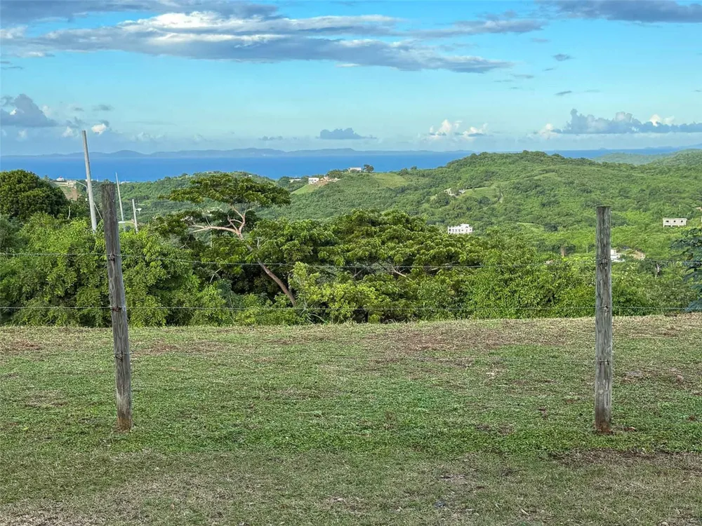 31 SAMUEL FELIX Vieques, PR 00765