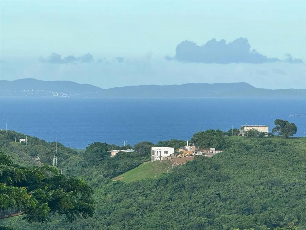 31 SAMUEL FELIX Vieques, PR 00765