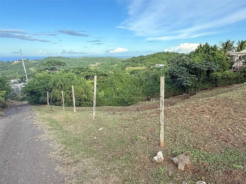 31 SAMUEL FELIX Vieques, PR 00765