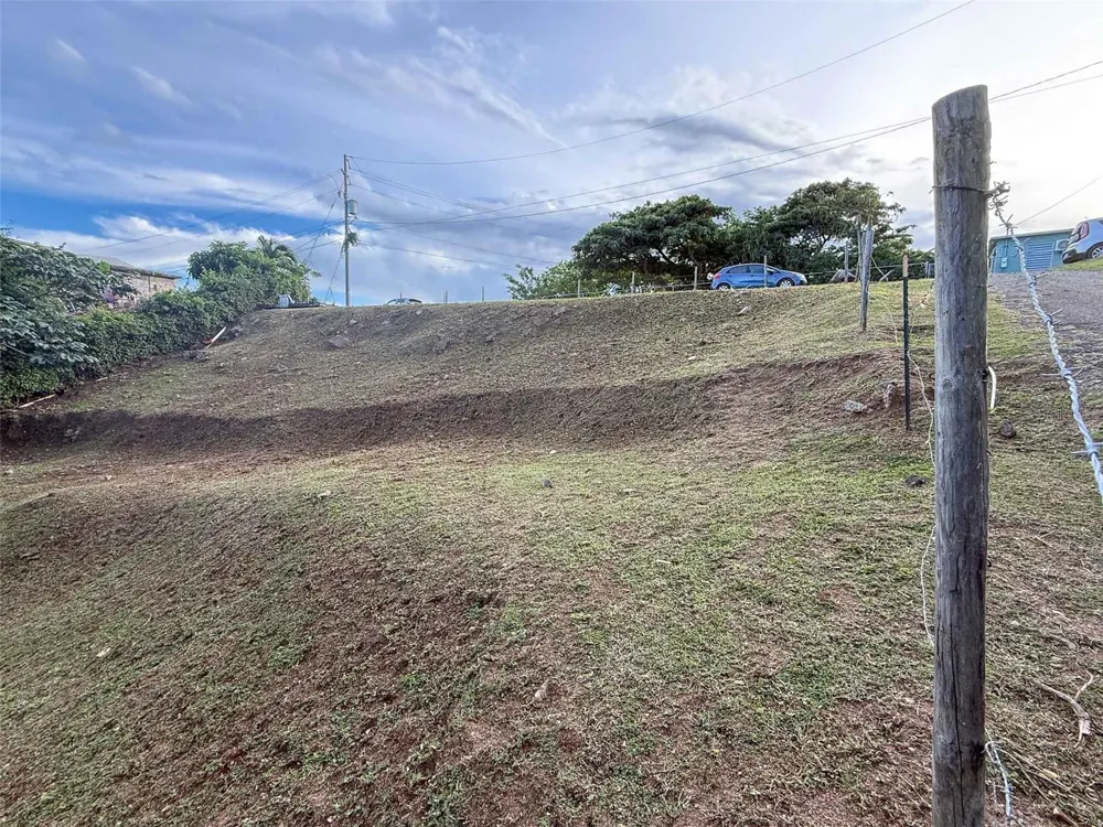 31 SAMUEL FELIX Vieques, PR 00765