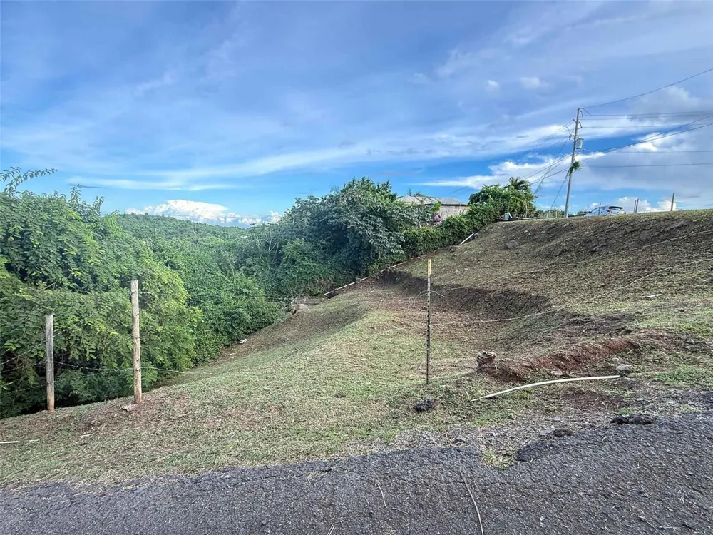 31 SAMUEL FELIX Vieques, PR 00765