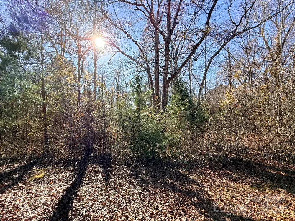Lot 24 Avalon Lane #24 Lancaster, SC 29720