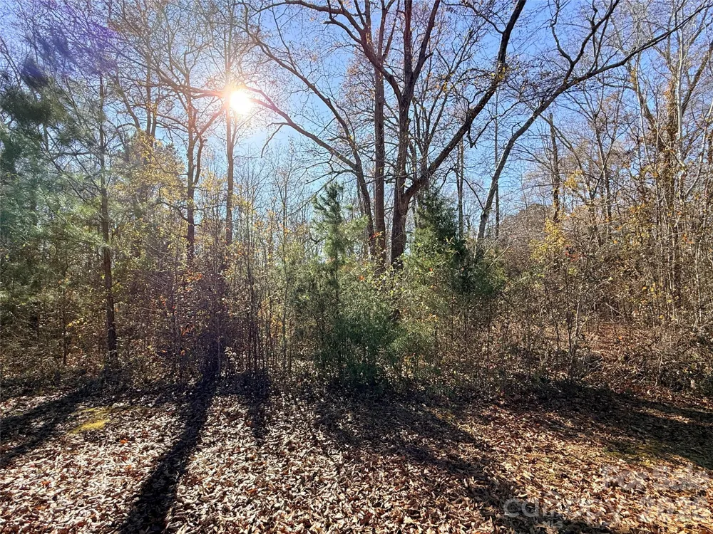 Lot 24 Avalon Lane #24 Lancaster, SC 29720