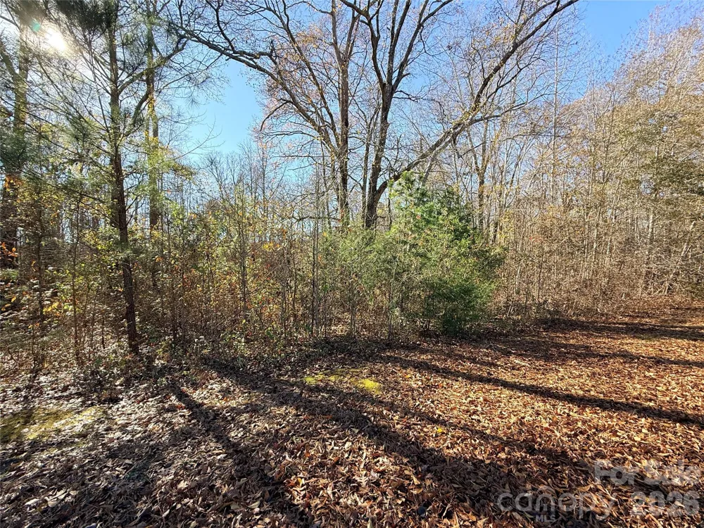 Lot 24 Avalon Lane #24 Lancaster, SC 29720