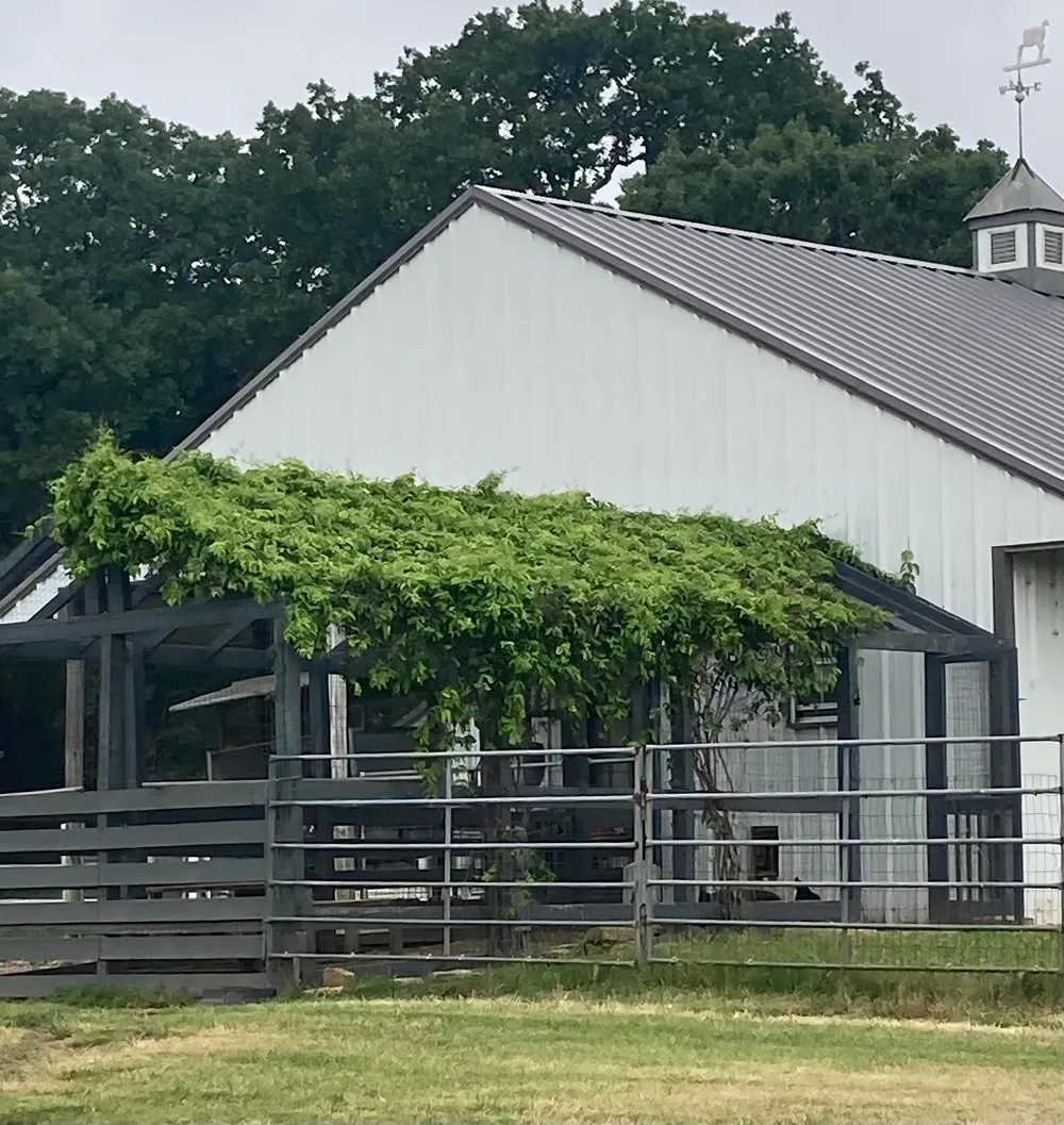 1077 Cardinal Drive Bartonville, TX 76226