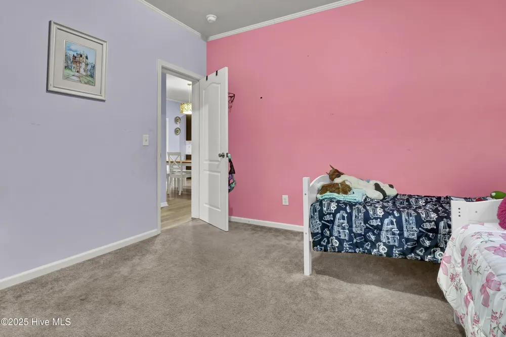 2636 Brinson Road Currie, NC 28435