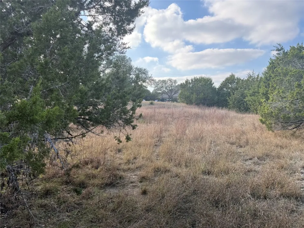 820 Sundown Trail Fischer, TX 78623