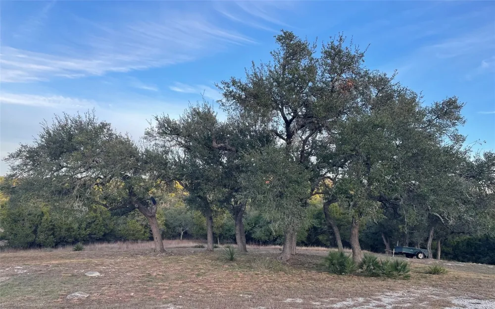 820 Sundown Trail Fischer, TX 78623
