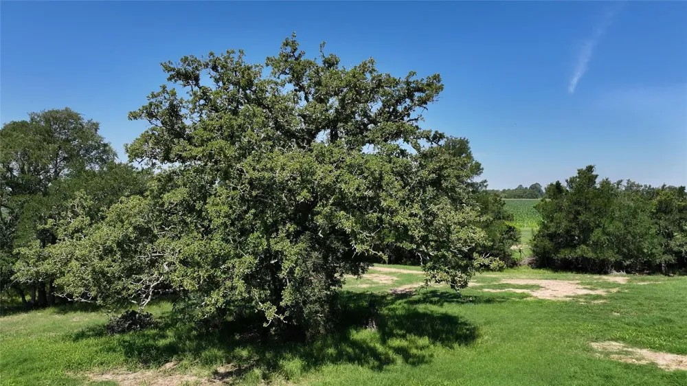 Warda Church Road Warda, TX 78945