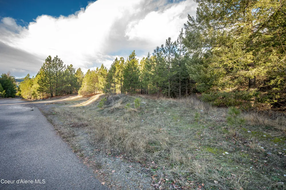 NKA 11th Avenue Spirit Lake, ID 83869