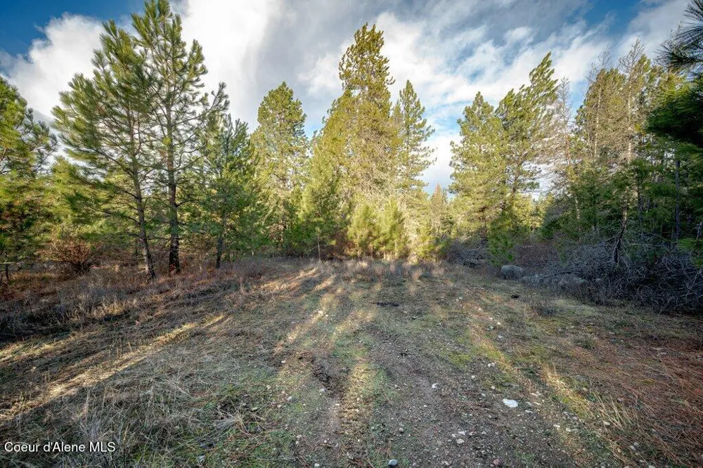 NKA 11th Avenue Spirit Lake, ID 83869