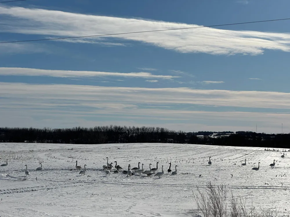 TBD County Hwy 10 Fergus Falls, MN 56537