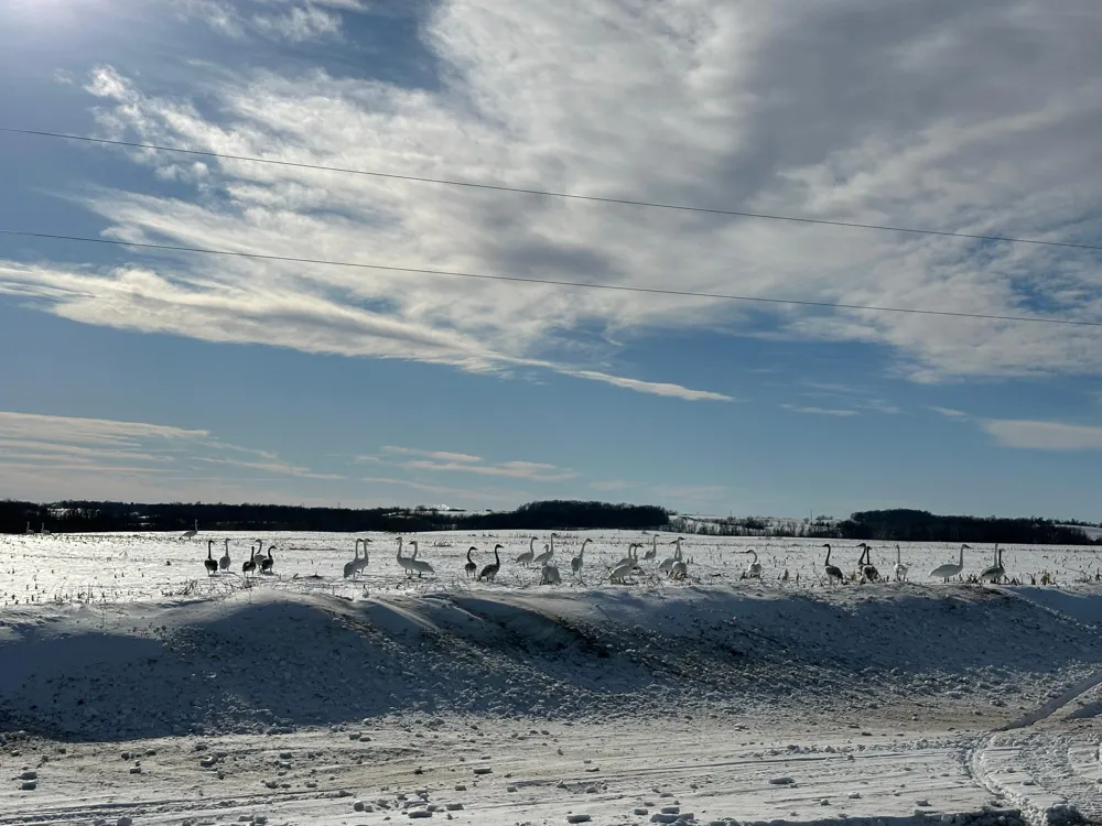 TBD County Hwy 10 Fergus Falls, MN 56537