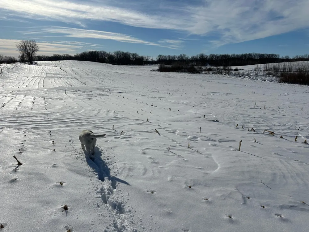 TBD County Hwy 10 Fergus Falls, MN 56537