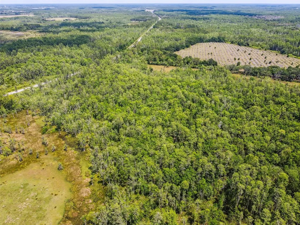 0 ST RD 557 Lake Alfred, FL 33850