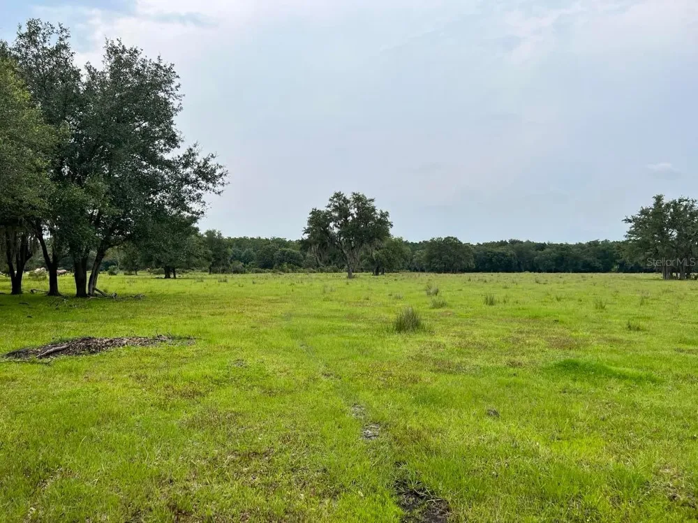 45855 CLAY GULLY ROAD Myakka City, FL 34251