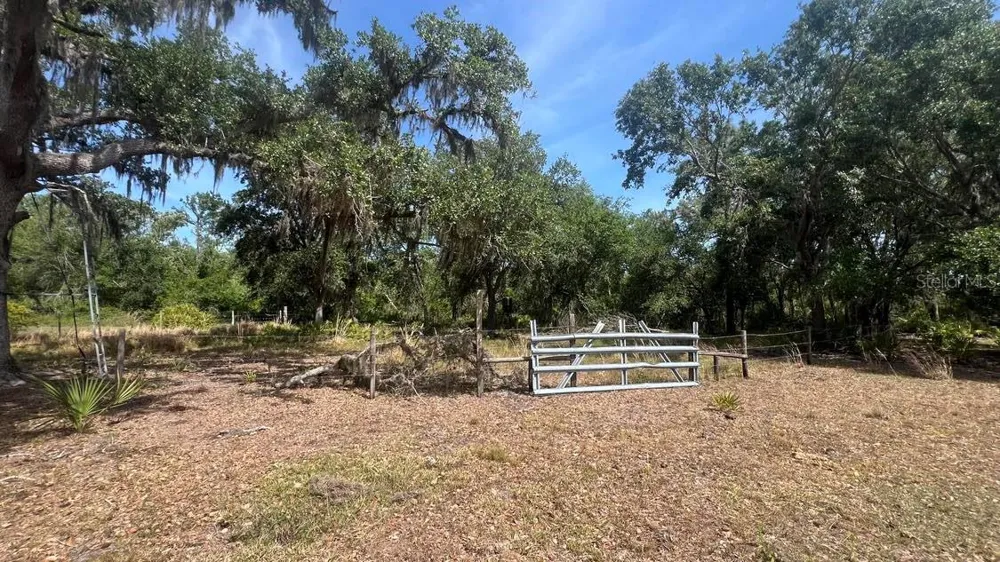 45855 CLAY GULLY ROAD Myakka City, FL 34251