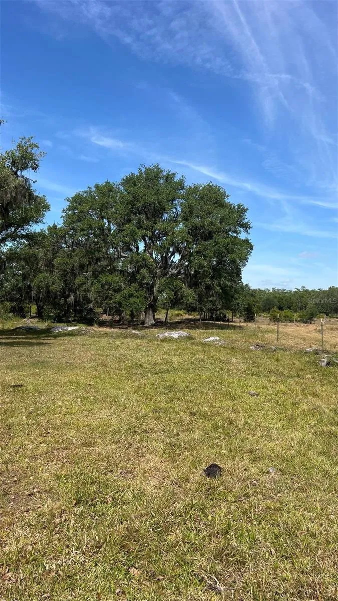 45855 CLAY GULLY ROAD Myakka City, FL 34251