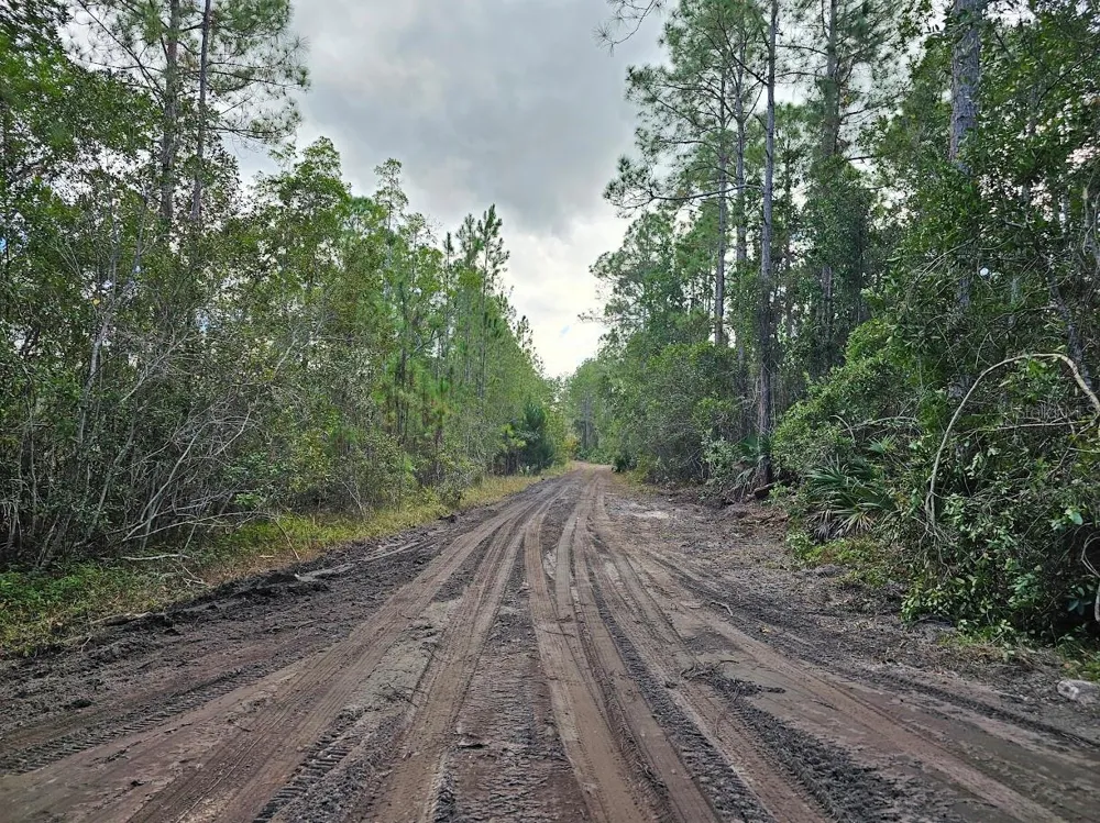 804 SHELL HARBOR ROAD Pierson, FL 32180