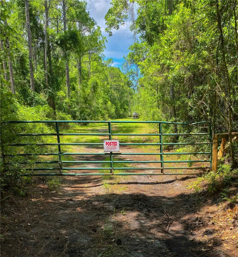 804 SHELL HARBOR ROAD Pierson, FL 32180