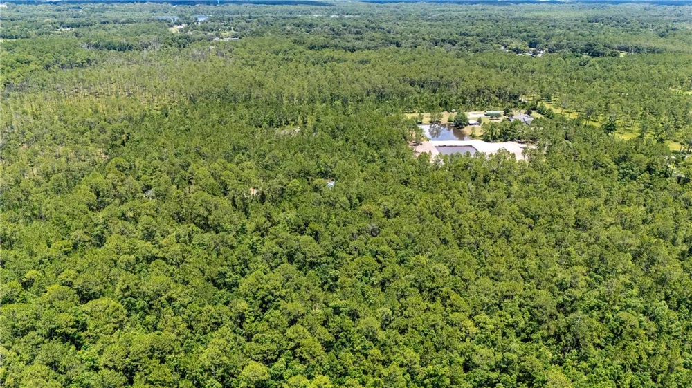 804 SHELL HARBOR ROAD Pierson, FL 32180
