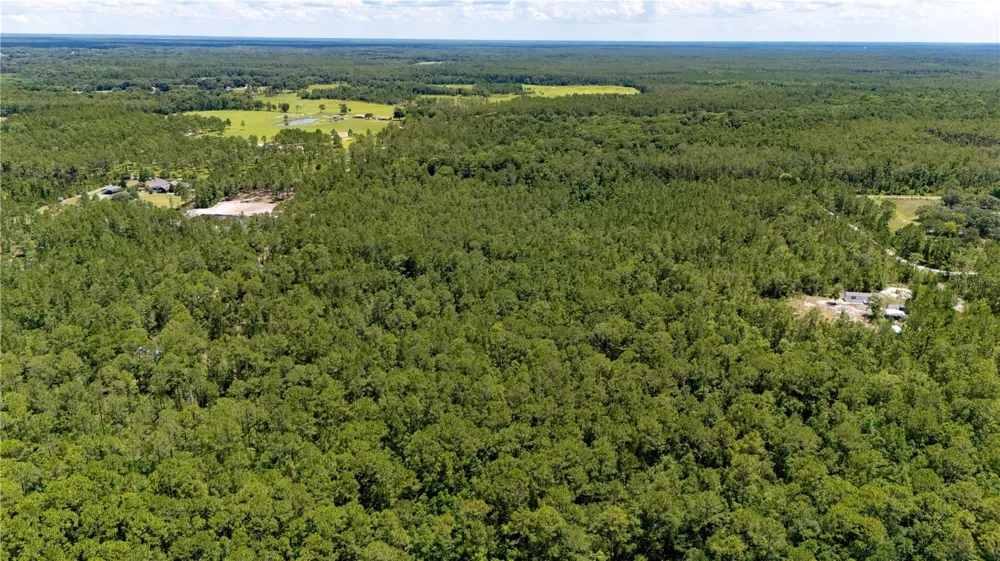 804 SHELL HARBOR ROAD Pierson, FL 32180