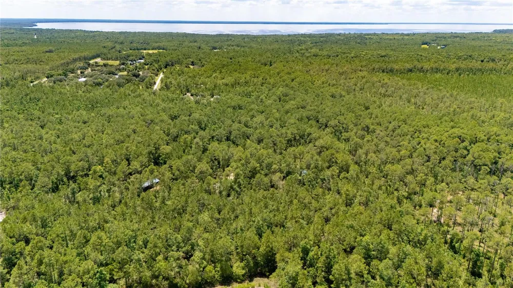 804 SHELL HARBOR ROAD Pierson, FL 32180