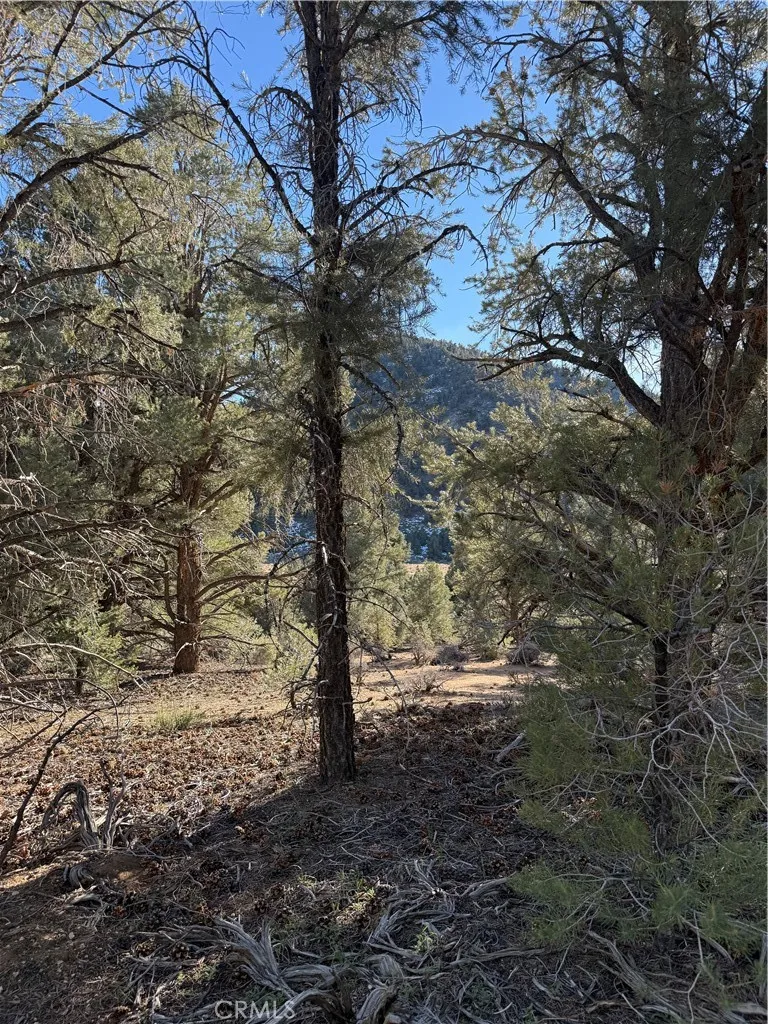 310-190-028 Sacatar Ranch Road Kennedy Meadows, CA 93527
