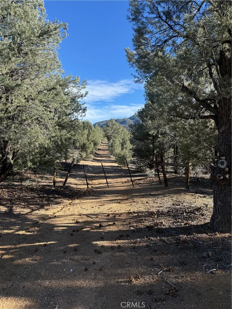 310-190-028 Sacatar Ranch Road Kennedy Meadows, CA 93527