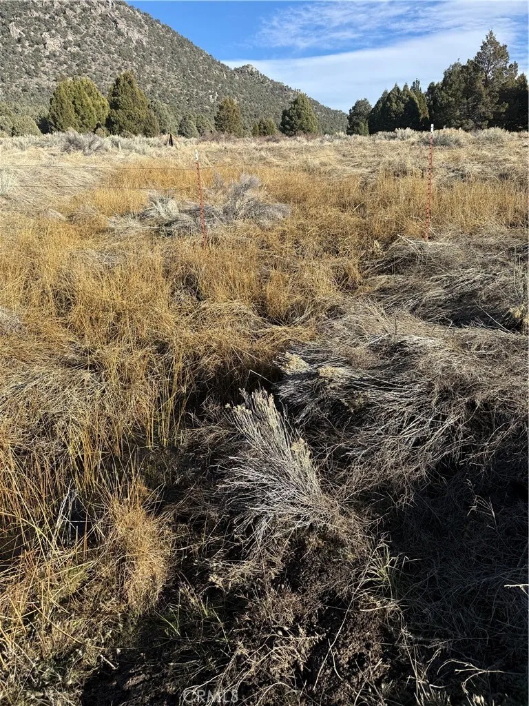 310-190-028 Sacatar Ranch Road Kennedy Meadows, CA 93527